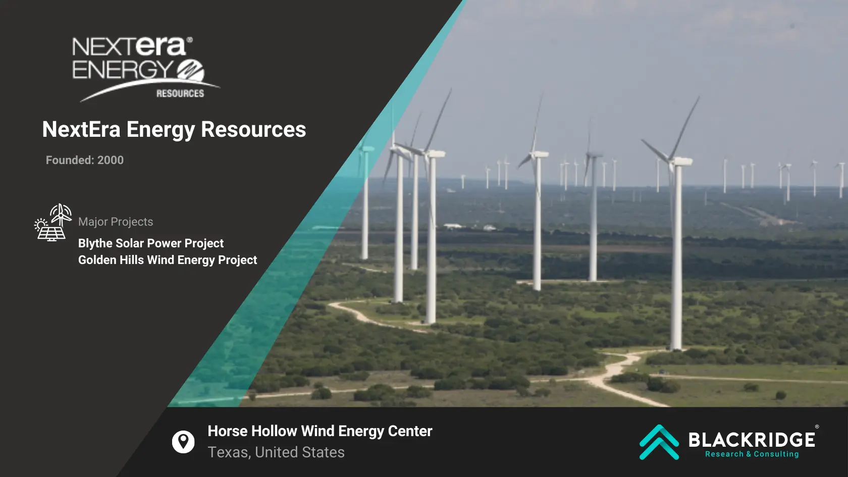 big renewable energy companies